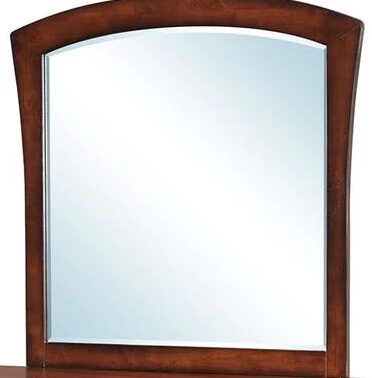 Elements International Jenny Mirror in Medium Espresso Lacquer